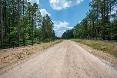 Tbd 18 B Timberland Branch Drive, Woodville, TX 75979 - Photo 7