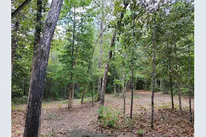 331 County Road 3240, Colmesneil, TX 75938 - Photo 49