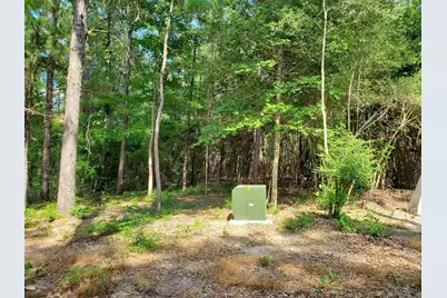 331 County Road 3240, Colmesneil, TX 75938 - Photo 29