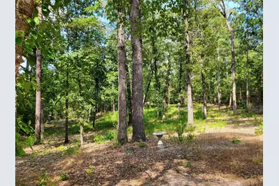 331 County Road 3240, Colmesneil, TX 75938 - Photo 39