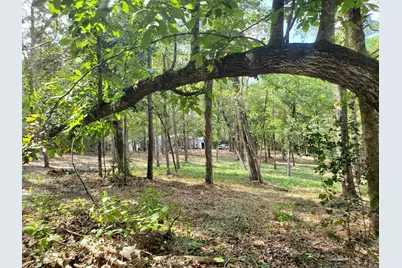 331 County Road 3240, Colmesneil, TX 75938 - Photo 3