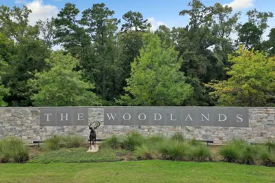 17 Oldstream Court, The Woodlands, TX 77381 - Photo 23