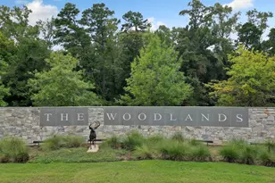 17 Oldstream Ct, The Woodlands, TX 77381 - Photo 23