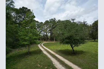 10314 County Road 417A, Navasota, TX 77868 - Photo 41