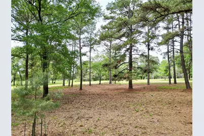 10314 County Road 417A, Navasota, TX 77868 - Photo 31