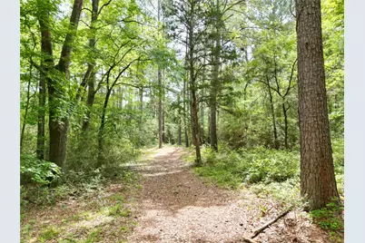 10314 County Road 417A, Navasota, TX 77868 - Photo 33