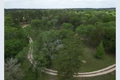 10314 County Road 417A, Navasota, TX 77868 - Photo 45