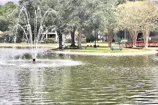 15807 Arbor Lake Dr, Tomball, TX 77377 - Photo 43