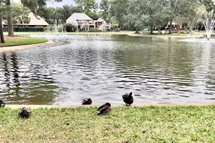 15807 Arbor Lake Dr, Tomball, TX 77377 - Photo 47