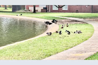 15807 Arbor Lake Drive, Tomball, TX 77377 - Photo 45