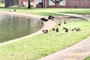 15807 Arbor Lake Dr, Tomball, TX 77377 - Photo 45