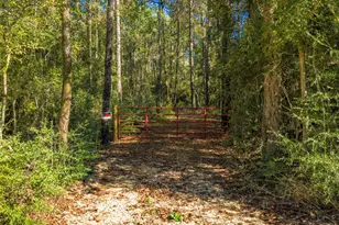 Lot 2 & 3 Portico, Livingston, TX 77351 - Photo 21