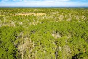 Lot 2 & 3 Portico, Livingston, TX 77351 - Photo 5