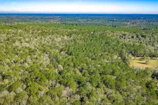 Lot 2 & 3 Portico, Livingston, TX 77351 - Photo 9