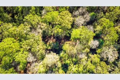 Lot 2 & 3 Portico, Livingston, TX 77351 - Photo 15