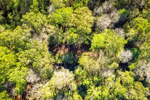 Lot 2 & 3 Portico, Livingston, TX 77351 - Photo 15