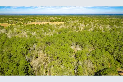 Lot 2 & 3 Portico, Livingston, TX 77351 - Photo 5