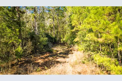 Lot 2 & 3 Portico, Livingston, TX 77351 - Photo 17
