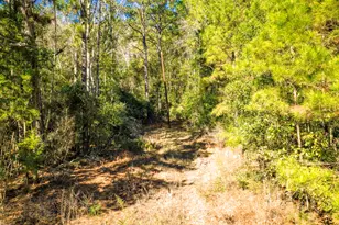 Lot 2 & 3 Portico, Livingston, TX 77351 - Photo 17