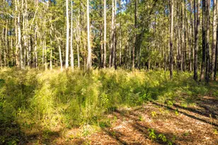 Lot 2 & 3 Portico, Livingston, TX 77351 - Photo 25