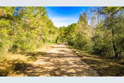 Lot 2 & 3 Portico, Livingston, TX 77351 - Photo 19