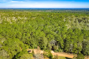 Lot 2 & 3 Portico, Livingston, TX 77351 - Photo 3