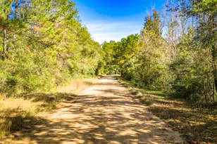 Lot 2 & 3 Portico, Livingston, TX 77351 - Photo 19