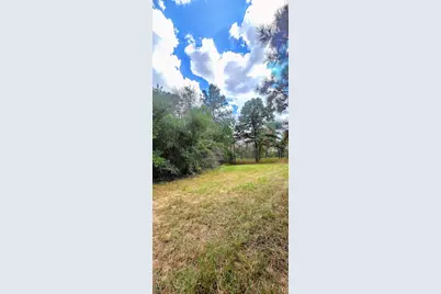 0 & 29699 McClellan Court W, Hempstead, TX 77355 - Photo 3