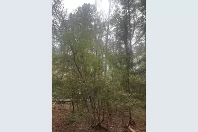 0 County Road 2135, Crockett, TX 75835 - Photo 7