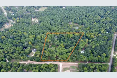 10012 Bentley Drive, Hockley, TX 77447 - Photo 3