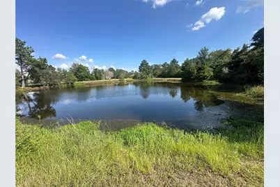 26546 Pin Oak Drive, Hempstead, TX 77445 - Photo 9