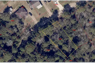 26546 Pin Oak Drive, Hempstead, TX 77445 - Photo 5