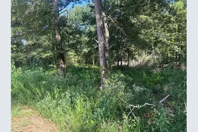 26546 Pin Oak Drive, Hempstead, TX 77445 - Photo 3