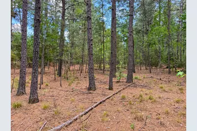 000 Private Road 51701, Kirbyville, TX 75956 - Photo 19