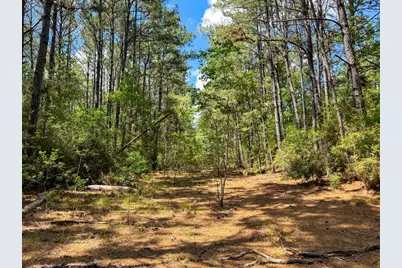 000 Private Road 51701, Kirbyville, TX 75956 - Photo 21