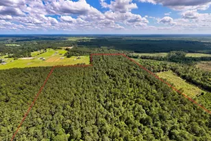 000 Private Road 51701, Kirbyville, TX 75956 - Photo 1