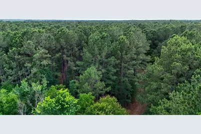 000 Private Road 51701, Kirbyville, TX 75956 - Photo 3