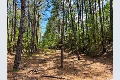 000 Private Road 51701, Kirbyville, TX 75956 - Photo 23