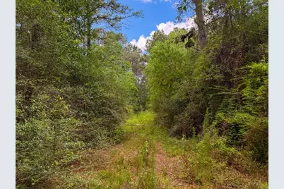 000 Private Road 51701, Kirbyville, TX 75956 - Photo 15