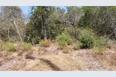 N/A Red Oak Drive, Hempstead, TX 77445 - Photo 25