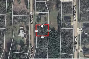 N/A Red Oak Dr, Hempstead, TX 77445 - Photo 1