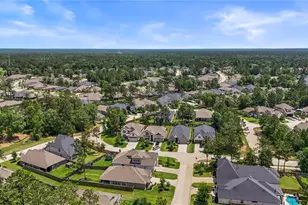 242 Crest Sights Dr, Montgomery, TX 77316 - Photo 29