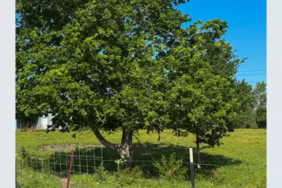 00008 Fm 149 Rd W Road W, Anderson, TX 77830 - Photo 7