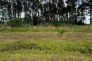 1172 Road 5913, Cleveland, TX 77327 - Photo 1