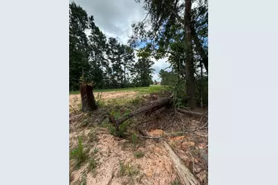 1172 Road 5913, Cleveland, TX 77327 - Photo 5