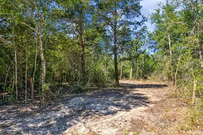 Tbd Tx-159, Fayetteville, TX 78940 - Photo 3