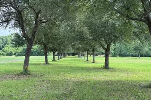24077 Old Dobbin Plantersvil Rd, Montgomery, TX 77316 - Photo 1