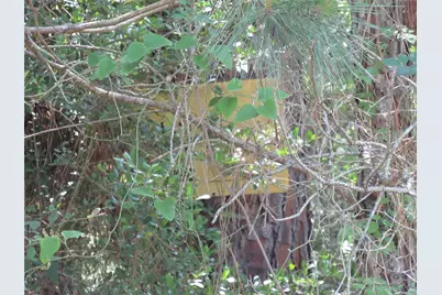 375 Noel, Livingston, TX 77351 - Photo 7