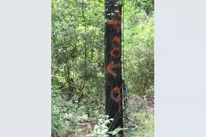 375 Noel, Livingston, TX 77351 - Photo 5