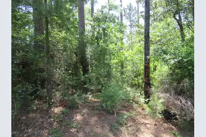 375 Noel, Livingston, TX 77351 - Photo 11